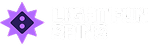 Light Fun Spins